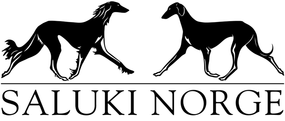 saluki norge logo 2021