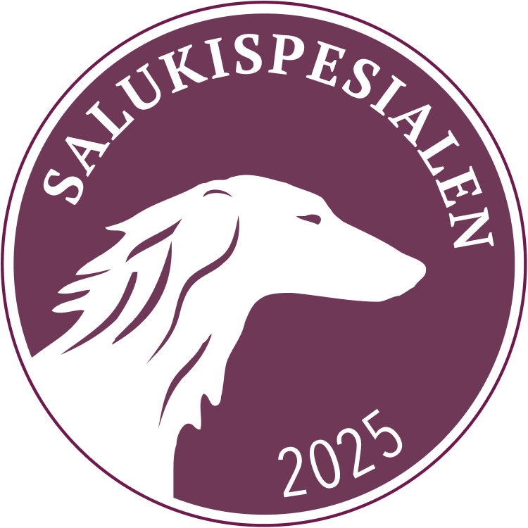 Salukispesialen logo 2024